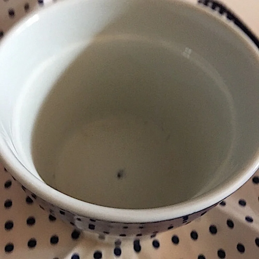 Vintage Retro Mod Farmhouse Asian Blue White Ceramic Butterfly Pot vase